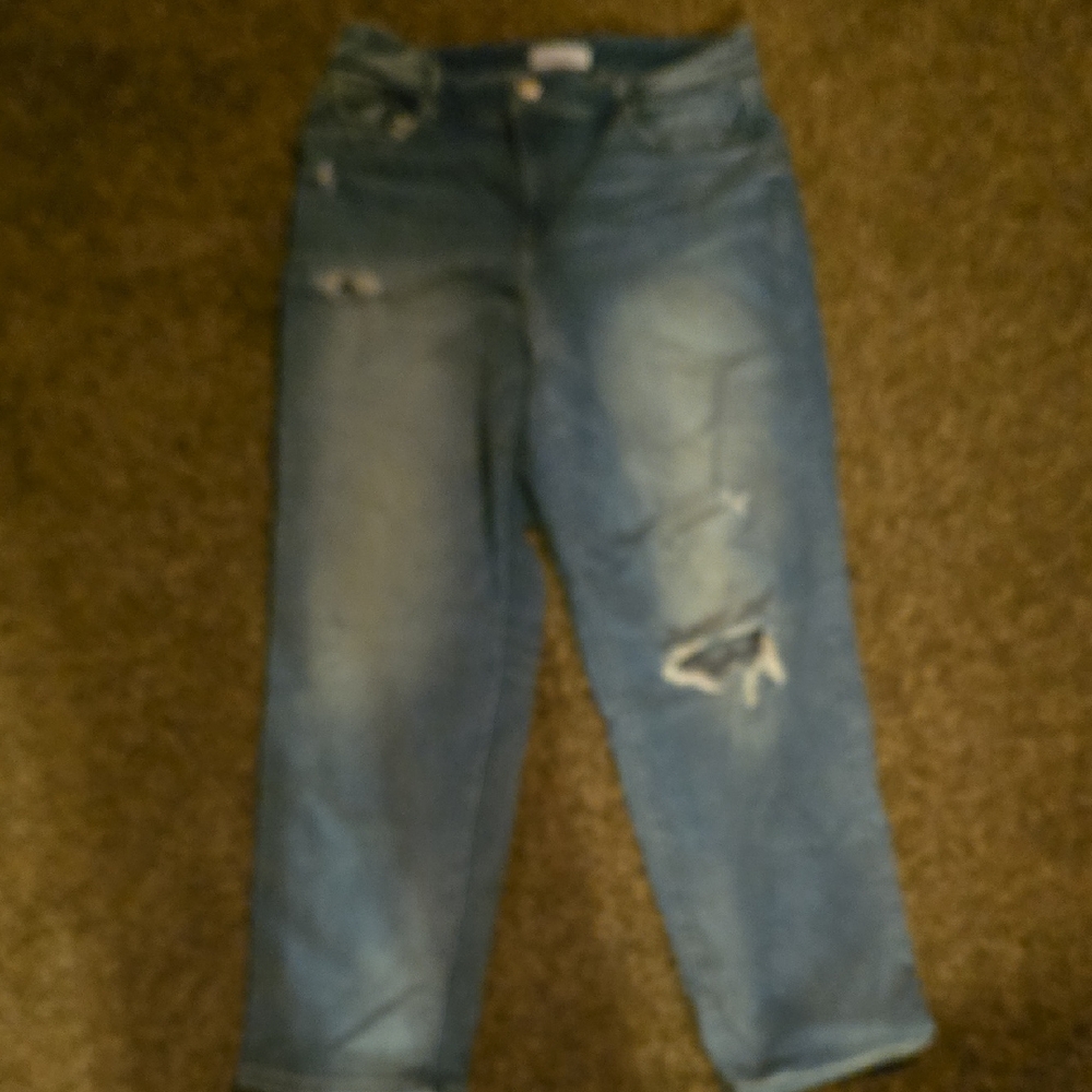 Lane Bryant Relaxed Fit Boyfriend Jeans in Blue